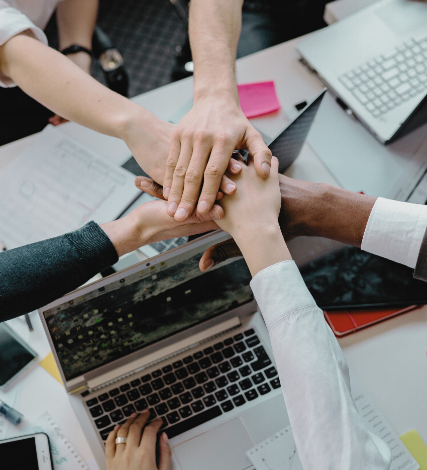 the process - TriMark